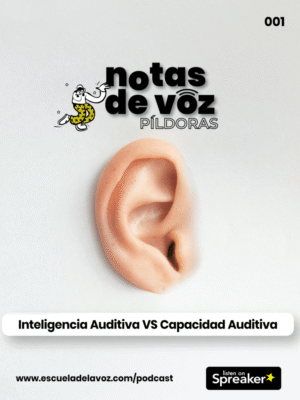 ECV - Notas de voz - 20210812 - 01