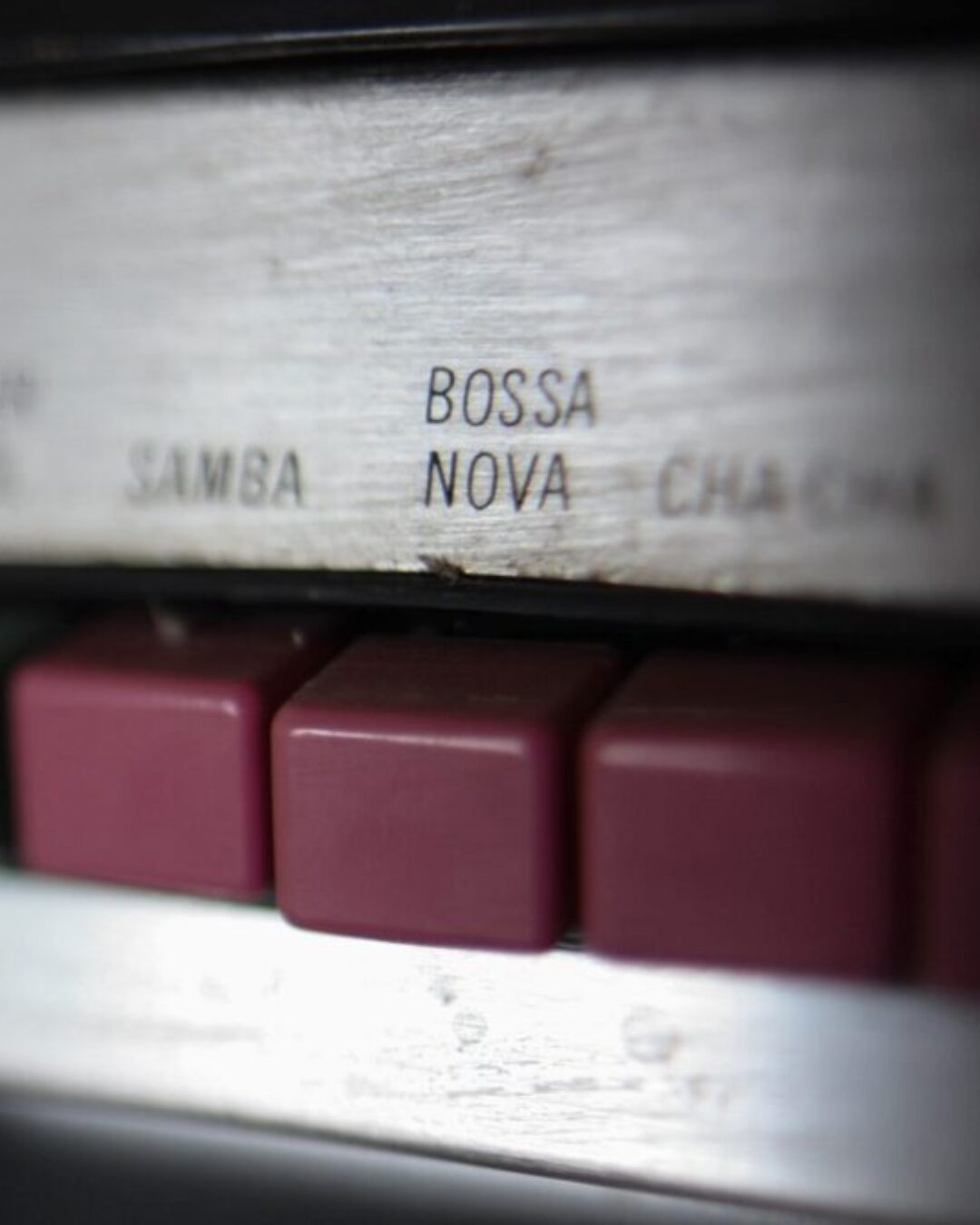 pearse-o-halloran-mrbDuwF9gqk-unsplash pearse-o-halloran-mrbDuwF9gqk-unsplash