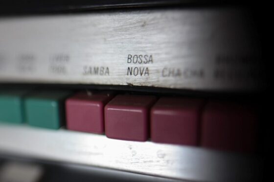 pearse-o-halloran-mrbDuwF9gqk-unsplash