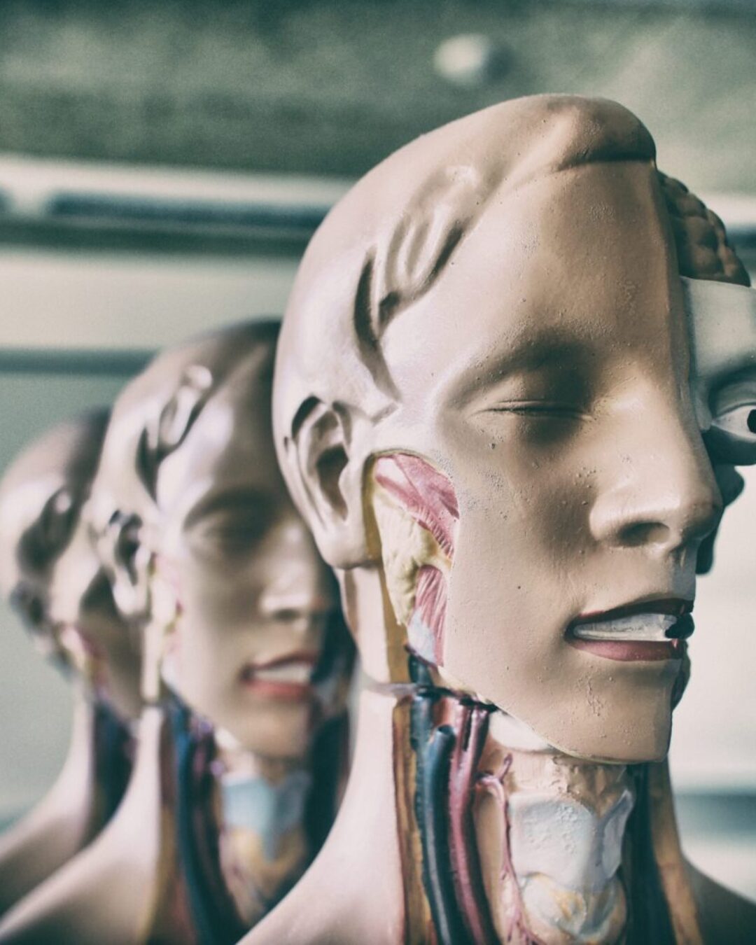 ¿Por qué es importante para el profesional de la voz saber de fisiología?