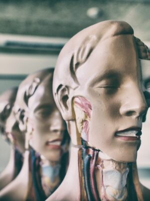 pierre-acobas-nbD0VmKnPrI-unsplash