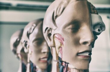 pierre-acobas-nbD0VmKnPrI-unsplash