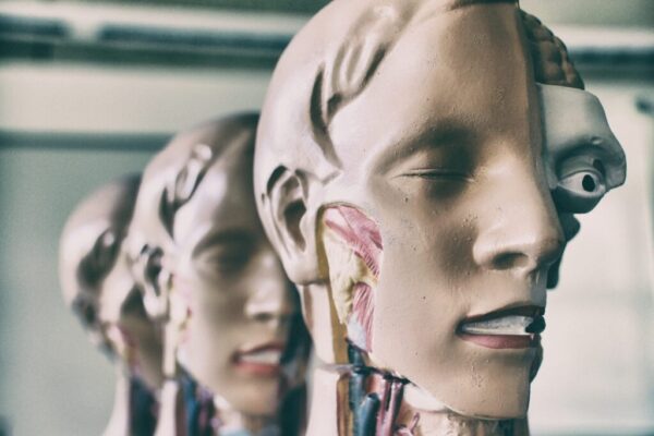 pierre-acobas-nbD0VmKnPrI-unsplash