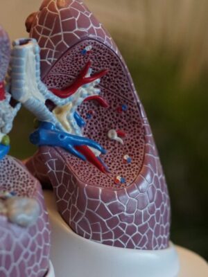 robina-weermeijer-Pw9aFhc92P8-unsplash